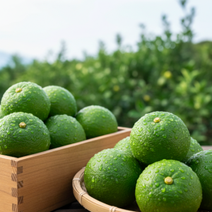 大分市産極上カボス