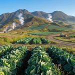 Gemini_Generated_Image_959e6r959e6r959e