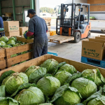 Gemini_Generated_Image_9zvshg9zvshg9zvs