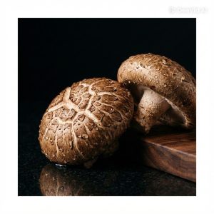 大分県産 原木生しいたけ「森の黒真珠」