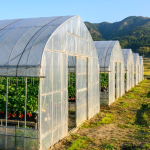 スクリーンショット 2026-01-13 10.34.30